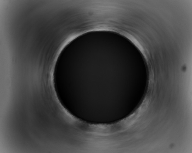 X0000103131197200808291309