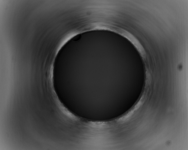 X0000103131198200808291309