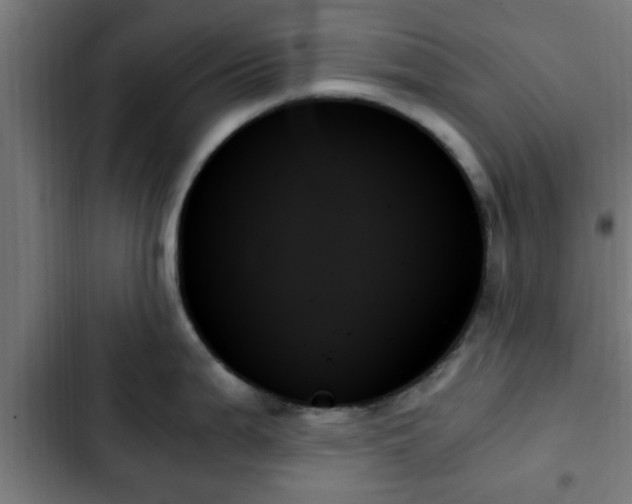 X0000103131199200808291309