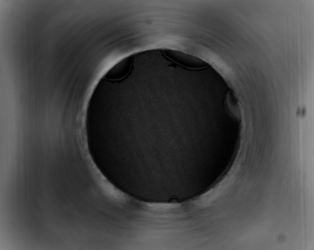 X0000103131200200808291309