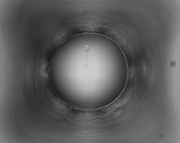 X0000103131202200808291308