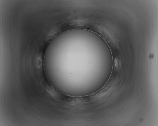 X0000103131203200808291308