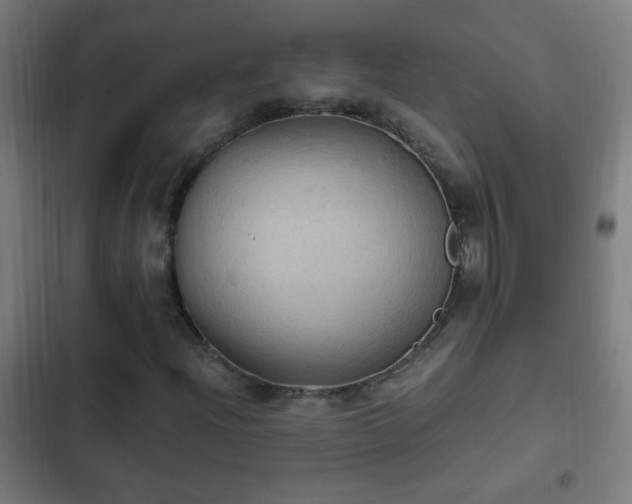 X0000103131204200808291308