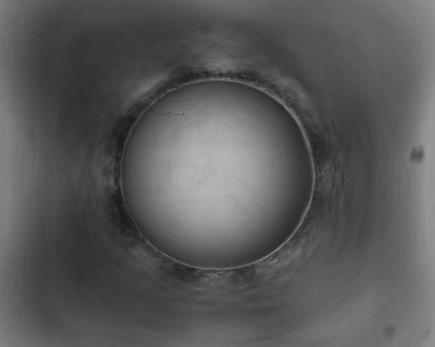 X0000103131205200808291308