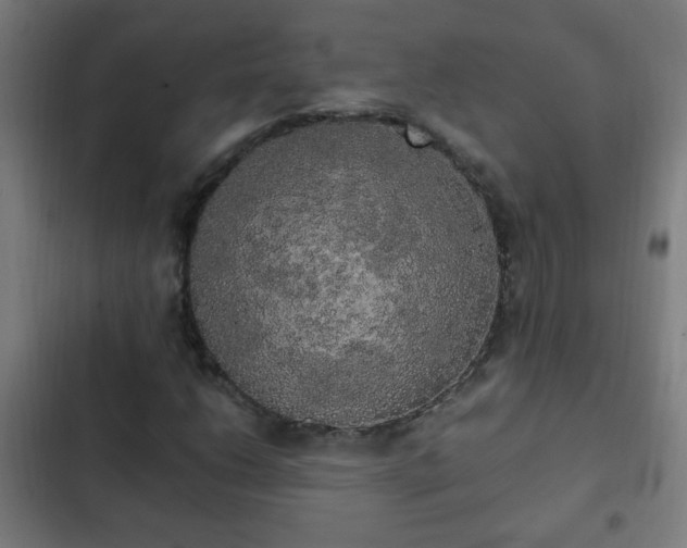 X0000103131206200808291308