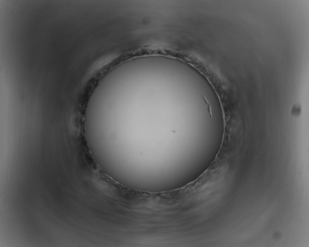 X0000103131207200808291308