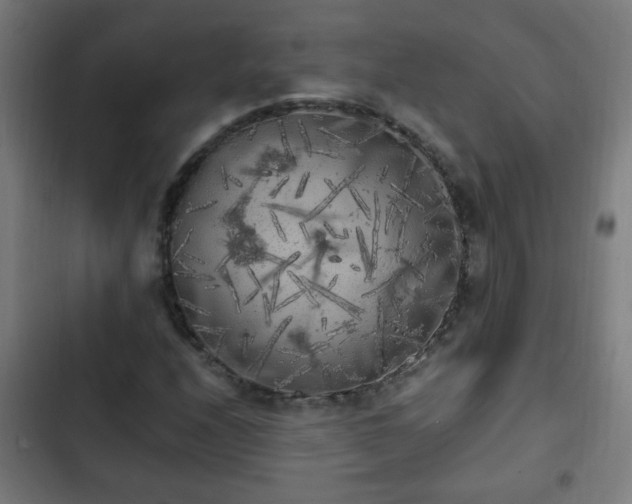 X0000103131208200808291308