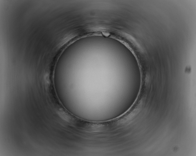 X0000103131209200808291308