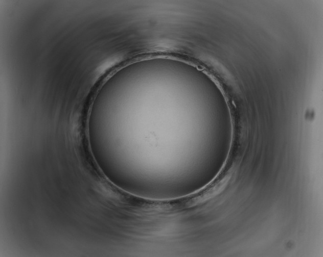 X0000103131210200808291308