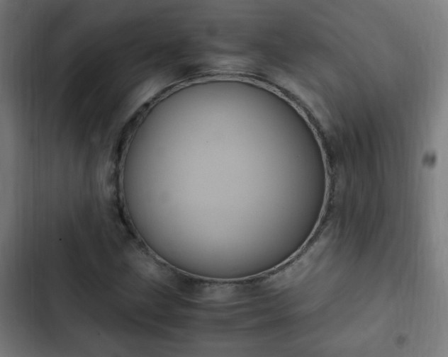 X0000103131211200808291308