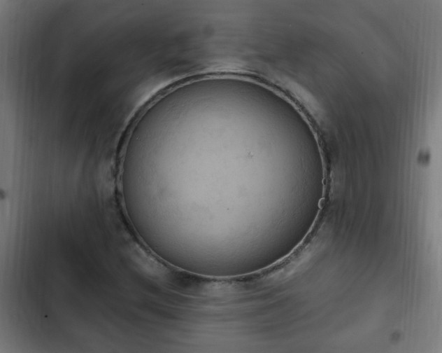 X0000103131212200808291308