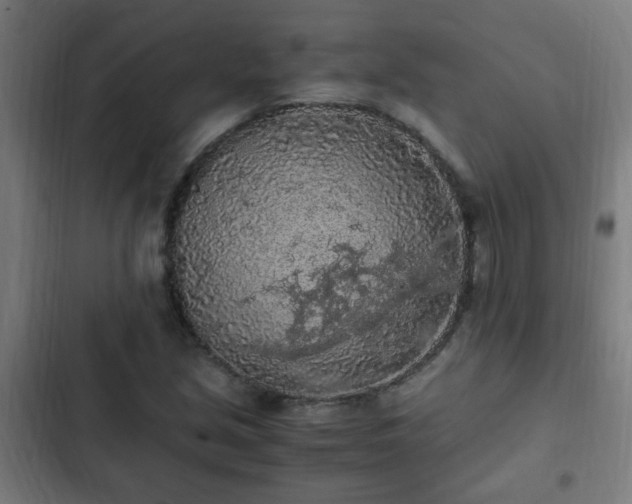 X0000103131213200808291308