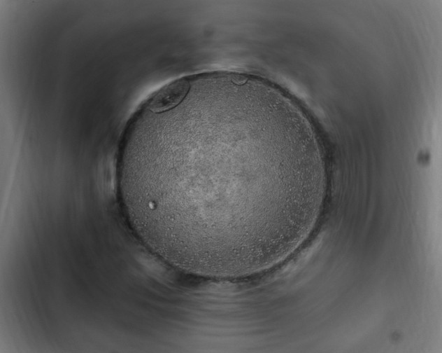 X0000103131214200808291308