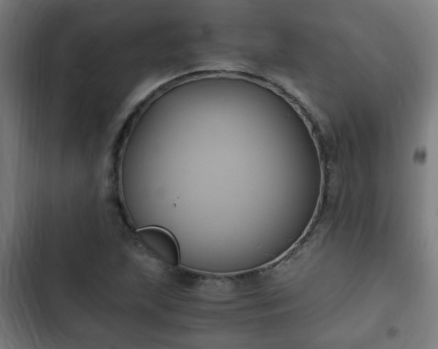 X0000103131215200808291308