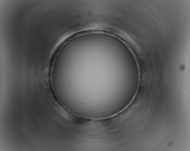 X0000103131216200808291308