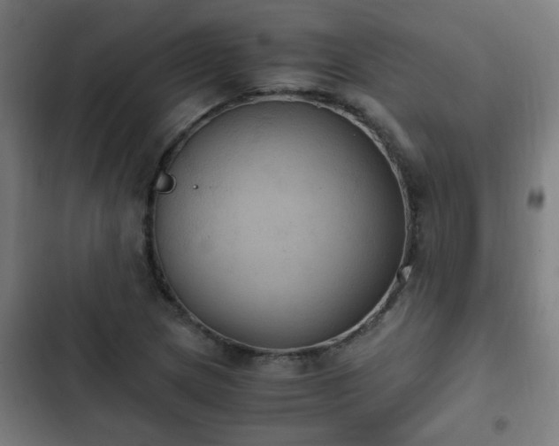 X0000103131217200808291308