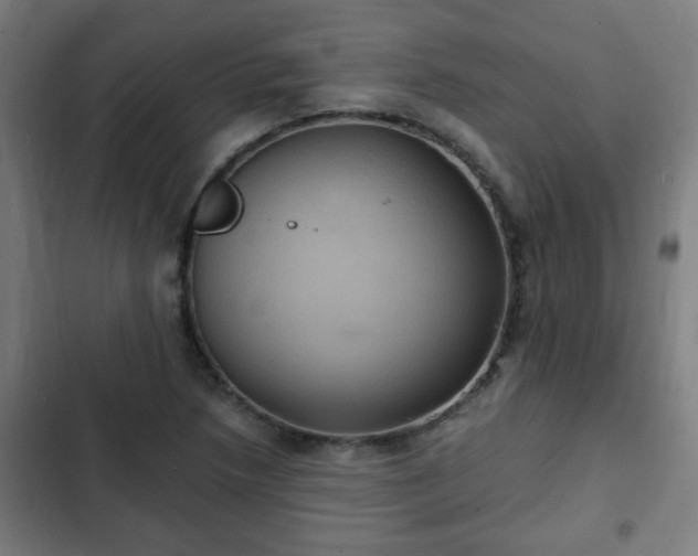 X0000103131218200808291308