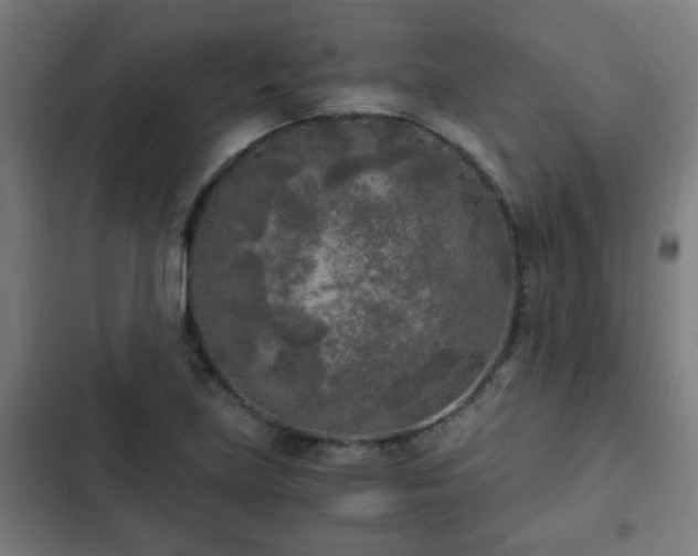 X0000103131219200808291308