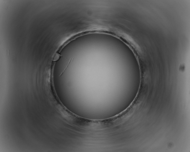 X0000103131220200808291308