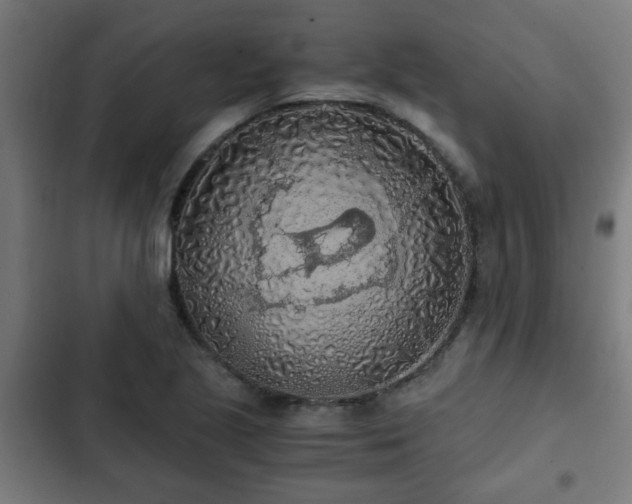 X0000103131221200808291308