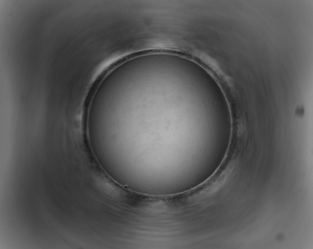 X0000103131222200808291308