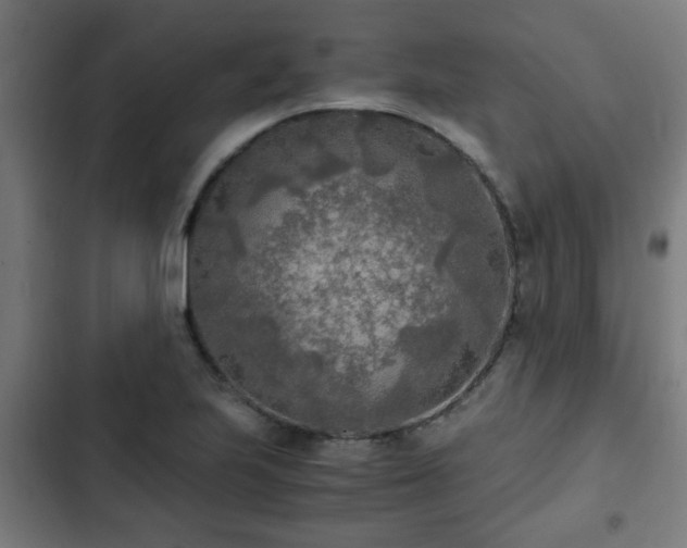 X0000103131223200808291308