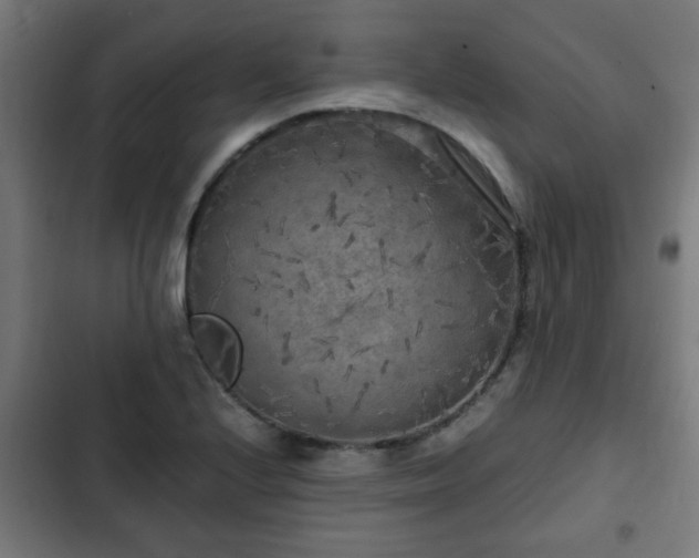 X0000103131224200808291308