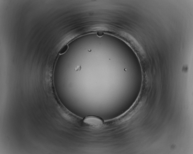 X0000103131225200808291308