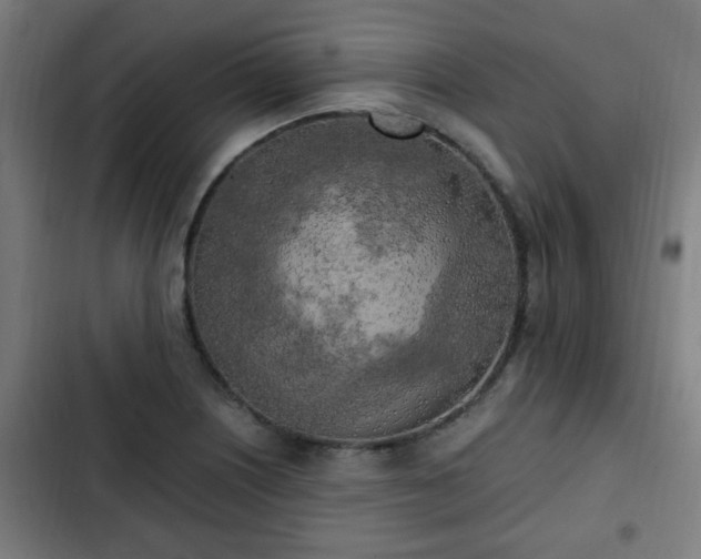 X0000103131226200808291308