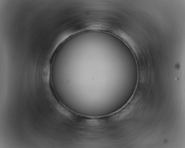X0000103131227200808291308