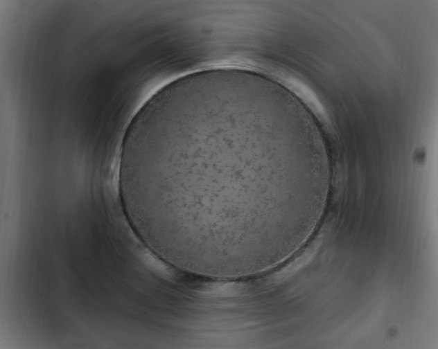 X0000103131228200808291308
