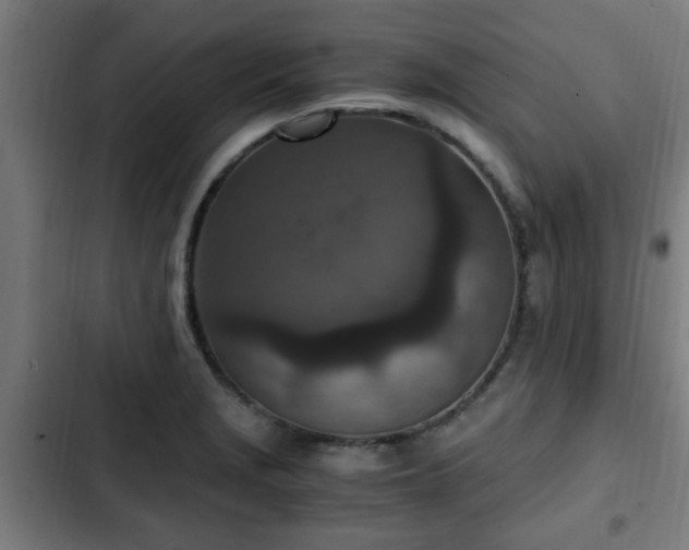 X0000103131229200808291308