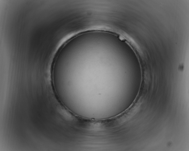 X0000103131230200808291308
