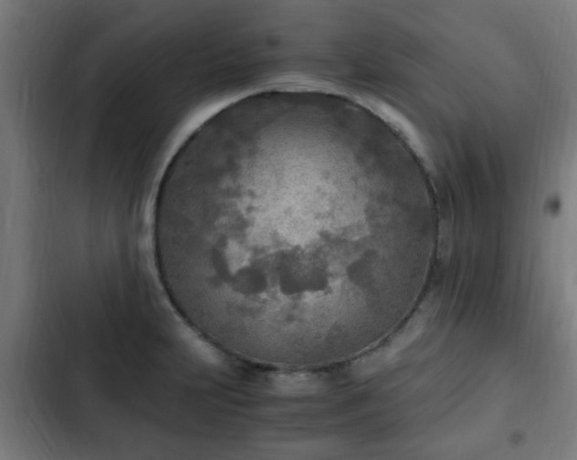 X0000103131231200808291309