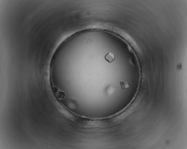 X0000103131232200808291309