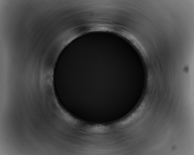 X0000103131233200808291309