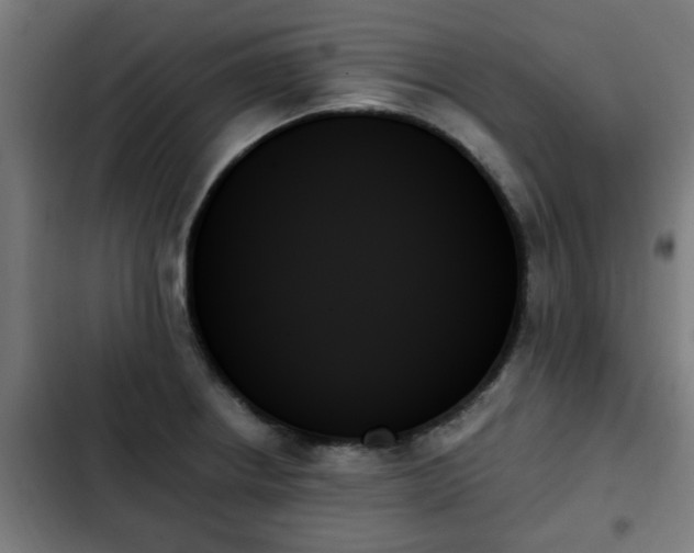 X0000103131234200808291309