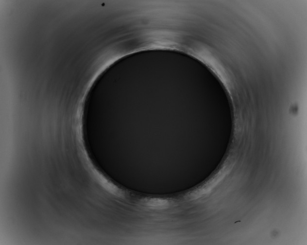 X0000103131235200808291309
