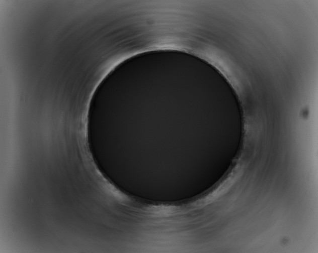 X0000103131236200808291309