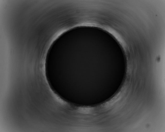 X0000103131237200808291309