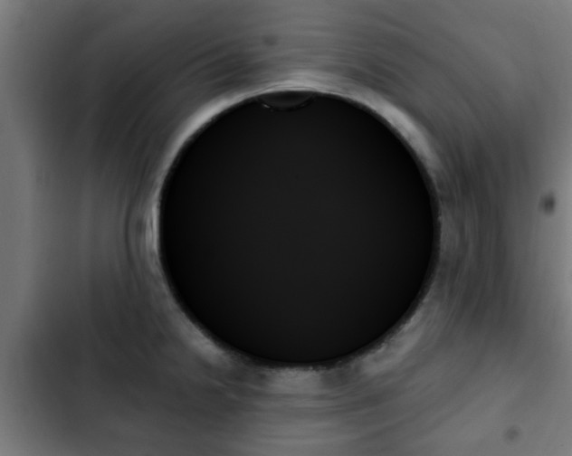 X0000103131238200808291309