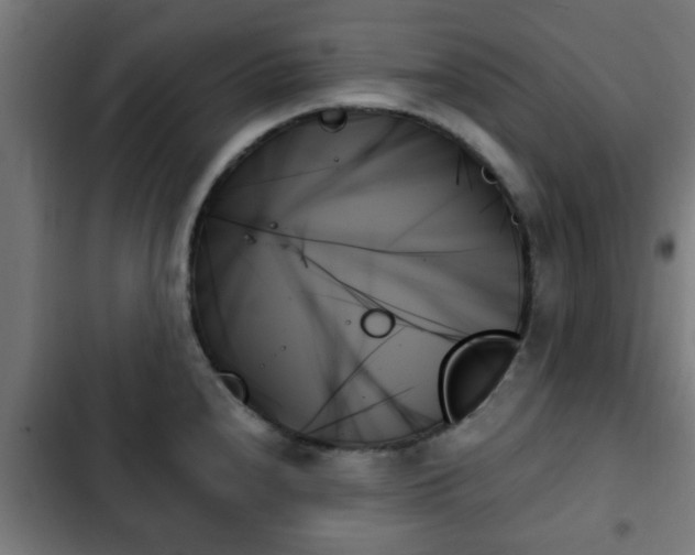 X0000103131240200808291309