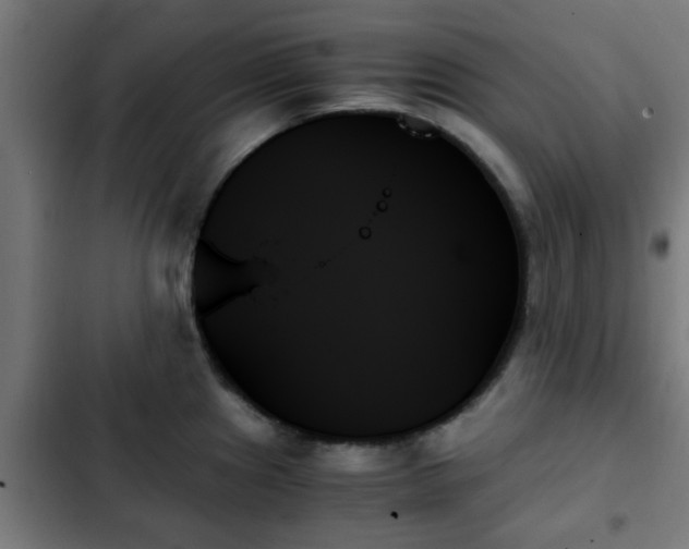 X0000103131241200808291309