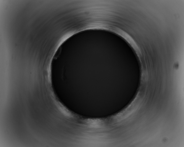 X0000103131242200808291309