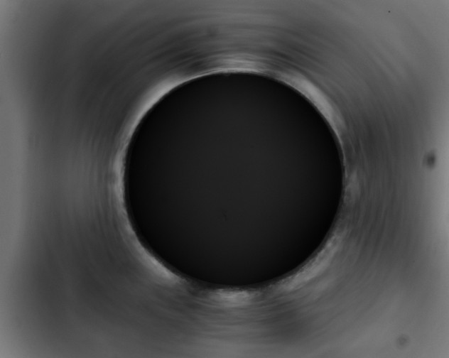 X0000103131243200808291309