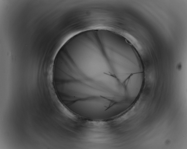 X0000103131244200808291309