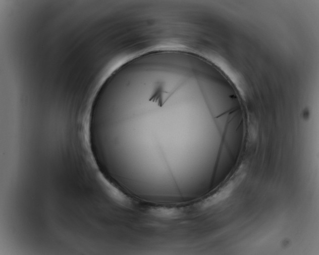 X0000103131245200808291309