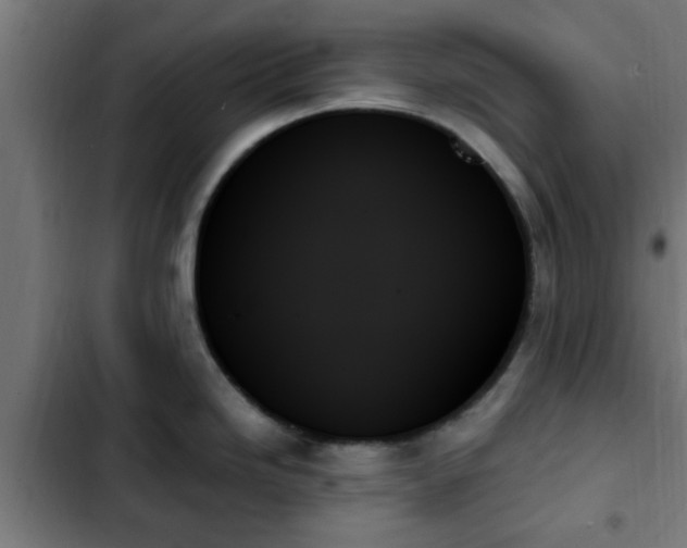 X0000103131246200808291309