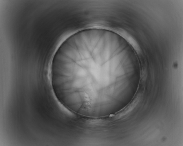 X0000103131247200808291309