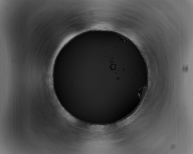 X0000103131248200808291309